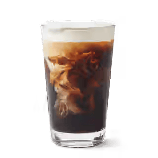 Toasted Marshmallow Cold Brew with Infused Cold Foam